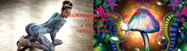 тгк Мегион