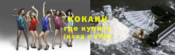 стафф Медногорск
