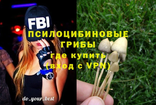 стафф Медногорск