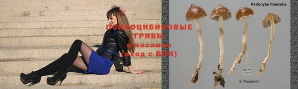 тгк Мегион