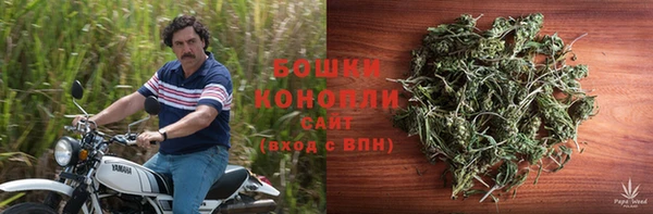тгк Мегион