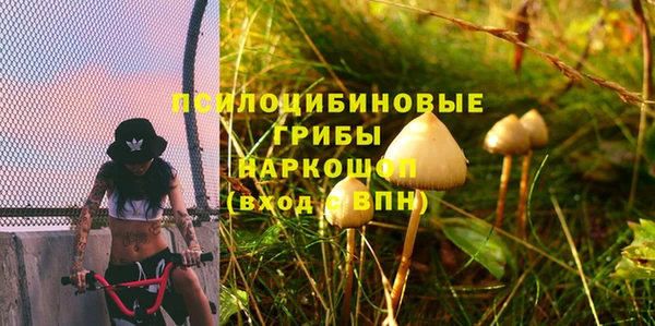 стафф Медногорск