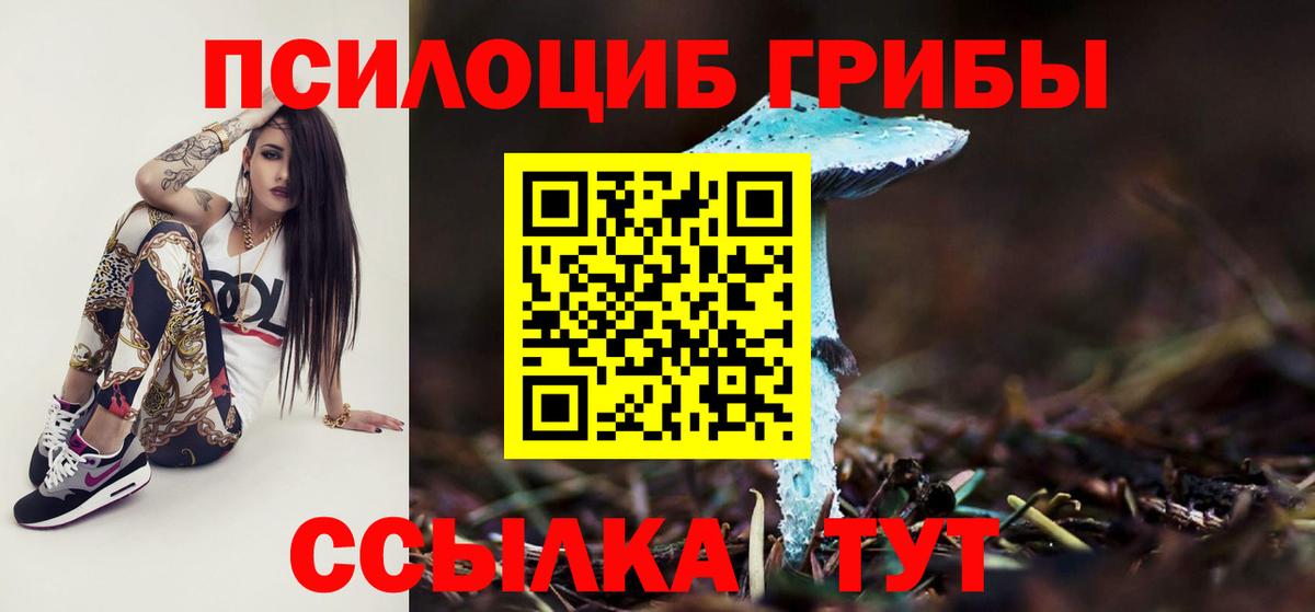 Псилоцибиновые грибы мицелий  Чайковский  Псилоцибиновые грибы Psilocybine cubensis 