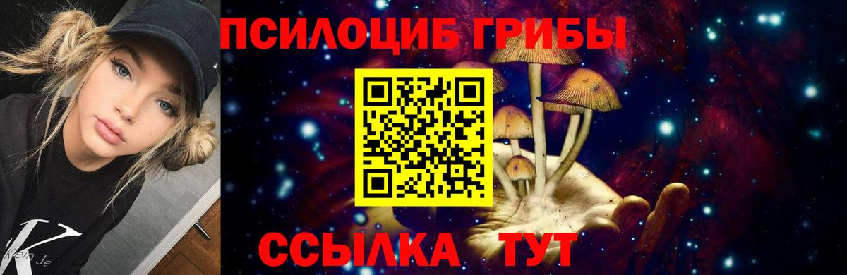 Псилоцибиновые грибы ЛСД Чайковский